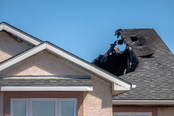Top rated local Fire Damage Repair specialists in Immokalee, FL